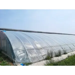 Invernadero solar pasivo chino a la venta Invernadero de luz solar Proveedor de casas verdes de invierno