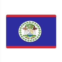 Tapis de sol rectangulaire en caoutchouc avec drapeau du Belize, 40*60 cm, paillasson antidérapant pour cuisine, salle de bain, garage