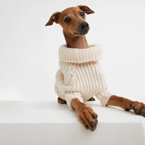 Qiqu Pet Supplies Custom New Designer Turtleneck Cable knit Dog jumper para <span class=keywords><strong>galgo</strong></span> <span class=keywords><strong>italiano</strong></span> Whippet Greyhound Sweater <span class=keywords><strong>Ropa</strong></span> - Product Image 3