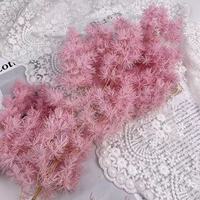 Bouquet de fleurs préservées Moon Yu Melaleuca Bracteata - Fête des Mères, Noël, Mariage, Halloween, Décoration d'intérieur - Vente directe fabricant
