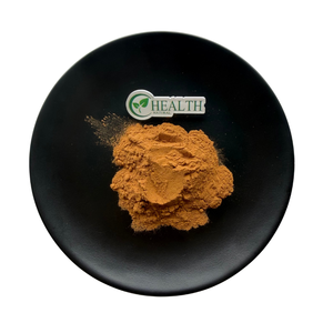 Extracto de Hongo Shaggy Mane en Polvo Premium, <span class=keywords><strong>Coprinus</strong></span> <span class=keywords><strong>Comatus</strong></span>, Extracto Concentrado en Polvo para Fabricación de Marca Privada - Product Image 2