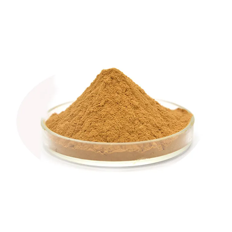 Natural Supplement 2.5% 8% Triterpene Glycosides Black Cohosh root Extract Powder