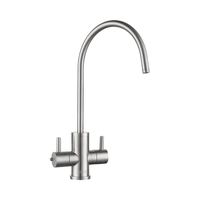 ROLYA Purificateur d'eau à l'ozone en acier inoxydable 304 à 2 voies, robinet d'eau chaude/froide instantanée, nickel brossé, sans plomb, pour la maison