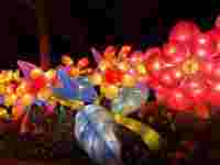 Lanternes de fleurs décoratives de spectacle de lumière chinoise Lanterne de champignon extérieure