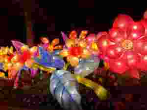 Lanternes de fleurs décoratives de spectacle de lumière chinoise Lanterne de champignon extérieure - Product Image 5