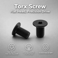 Sekrup Mesin Allen Kepala Datar Ultra Tipis Profil Rendah Torx Socket Wafer Baja Tahan Karat Hitam 304 M2.5 M3 M4 M5 M6 M8 M10 M12