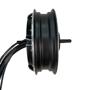 Qsmotor 12 "V5 40H 3kw <span class=keywords><strong>Wp</strong></span> 18 As Dc Borstelloze Tandeloze Motor - Product Image 6