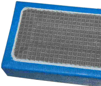 Tapis de judo Tatami utilisés pour le grappling à vendre