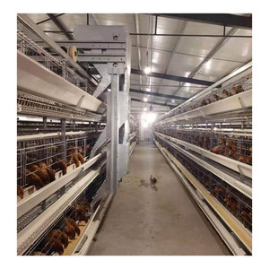 H-tipi kafes tavuk çiftliği pil kafes sistemi kanatlı hayvan yemi ekipman katmanı ekipmanları ticari otomatik tavuk yumurtlama kafesi - Product Image 4