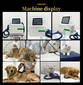 Máquina de Masaje Corporal para Animales con PEMF a Precio de Fábrica, Alivia las Rigideces en las Extremidades de Mascotas Mayores, Dispositivo de Cuidado Magnético PEMF para Spa - Product Image 5