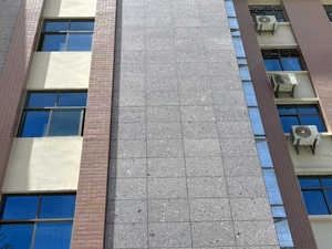 Lastre e Piastrelle in Granito Naturale Grigio Chiaro Viola Pallido con Grandi Grani Aggregati - Product Image 5