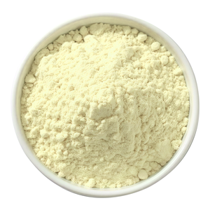 Polvo de licopodio ultrafino de esporas de Clubmoss | Agente de polvo botánico | CAS 8023-70-9 - Product Image 2