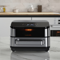 Four à pizza électrique d'une capacité de 4 litres avec fonction de gril pour griller et cuisiner Design peu encombrant