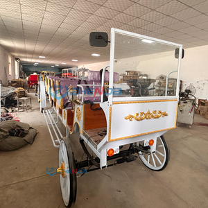 Vehículo Eléctrico de Paseo con Estilo Zhenda, Carruaje para Parques de Atracciones, de Henan, en Venta - Product Image 6