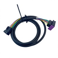 Nouveau Faisceau de câblage de poignée de direction pour chariot élévateur 3093810441 Linde EWS10/EWS12/L10P/L12P/1169/1172 Chaolutong 1-10 Pièces de rechange pour chariot élévateur