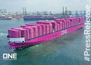 Üst yük iletici lojistik nakliye ajan çin Kenya zimbabve zambiya nijerya gana Senegal fas Libya güney afrika - Product Image 3