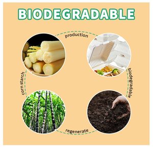 Dùng Một Lần Takeaway Bã Mía Nhanh Chóng Thực Phẩm Container 9*6 Inch Phân Hủy Sinh Học Mía Bã Mía Bento Hộp Ăn Trưa - Product Image 3