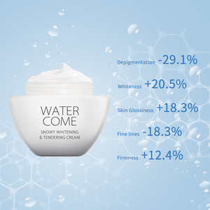 <span class=keywords><strong>Meilleure</strong></span> crème pour le visage éclaircissante <span class=keywords><strong>de</strong></span> marque privée pour les peaux grasses Crème pour le visage bio hydratante Crème <span class=keywords><strong>de</strong></span> beauté pour le visage <span class=keywords><strong>de</strong></span> luxe - Product Image 2