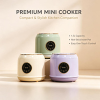 Mini Cuiseur à Riz Électrique Portable Multifonctionnel avec Tasse Mesureuse Intégrée pour Dortoir, Boîtier en Plastique Intelligent et Automatique