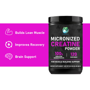 Creatina Monohidratada Micronizada en Polvo de Fábrica OEM, Bebida Pre-Entrenamiento, Promueve el Desarrollo Muscular, Creatina en Polvo a Granel para Adultos - Product Image 2