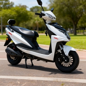 Motos électriques tout-terrain pour adultes, vélo <span class=keywords><strong>de</strong></span> ville, moto cross JENOVA QH-EM-ZS-1_004, moteur 1000W, batterie au plomb-acide 60V20Ah, 50 km/h - Product Image 1