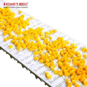 Hongsbelt HS-100B-HD gebogenes modulares Band Förderband aus Kunststoff für Lebensmittelindustrie