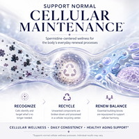 Extrait standardisé de germe de blé Spermidine liquide 5mg avec Trans-Resvératrol pour le renouvellement cellulaire et le soutien de la vitalité OEM
