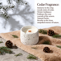 Pot à bougie en ciment coloré avec mèche en bois, bougie à la cire de soja, aromathérapie, bougie artisanale, respectueuse de l'environnement, style classique