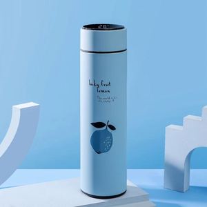 Botella de Agua Moderna de Acero Inoxidable de 500 ml con Pantalla Digital de Temperatura, Aislamiento Térmico de 6 a 12 Horas, Termo con Aislamiento al Vacío 304 - Product Image 4