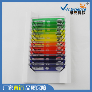 Lames microscopiques, lames en plastique, kits de séries mixtes, lames microscopiques pour les écoles primaires et secondaires, pour enfants - Product Image 4