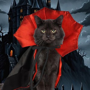Nueva Oferta, Divertidos Accesorios para Mascotas, Disfraces de Duende para Fiestas de Carnaval, Ropa para Perros y Gatos para Halloween y Navidad, Capa de Transformación - Product Image 1