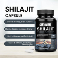Meilleur prix Complément alimentaire santé Capsules de Shilajit avec acide fulvique Soutien immunitaire et gestion de l'énergie pour les hommes adultes