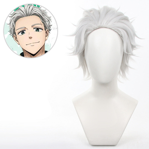 Ainizi วิกผมคอสเพลย์สั้นสีขาว-เทา <span class=keywords><strong>Hajime</strong></span> emiya - Product Image 2