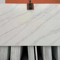 Dalle de pierre naturelle du Brésil, Quartzite marbré artificiel blanc Pamda pour la conception de cuisines de luxe, plans de toilette et escaliers