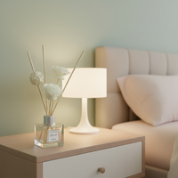 Diffuseur d'huiles essentielles en verre non inflammable, fleurs séchées, encens, parfum pour la maison, chambre à coucher, désodorisant pour les toilettes, air frais, 50 cubes, 30-60