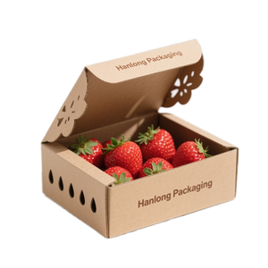 Boîtes ventilées en papier kraft rigide de 1 mm avec revêtement verni pour l'emballage des produits frais, cartons de vente au détail personnalisés, exportateur en gros - Product Image 1