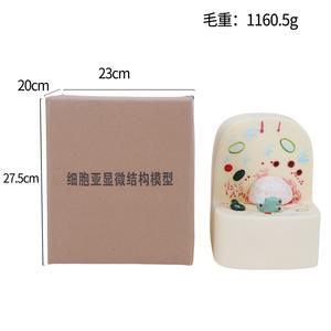 Modèle de structure sous-microscopique cellulaire, noyau cellulaire, cytoplasme, aides pédagogiques en biologie du secondaire - Product Image 5