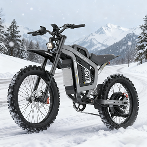 Trọng lượng nhẹ 50kg điện Dirt Bike cho thể thao mạo hiểm 150kg tải 75 km/h tốc độ tối đa với động cơ không chổi than - Product Image 1