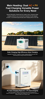 Station d'alimentation portable Techfine 1000W 220V avec batterie LiFePO4 pour la sauvegarde d'urgence à domicile et l'alimentation domestique