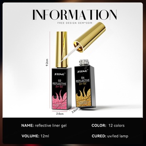 JTING Gel Polish Brillant Réfléchissant Effet Disco 12 Couleurs pour Nail Art – Kit de Gel Liner de Haute Qualité pour Ongles – OEM Marque Privée - Product Image 2