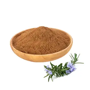 High Quality 10:1 Rosemary Leaf Extract Powder 10% Rosmarinic Acid 35%