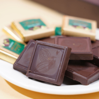 Premium Bittersweet Milk Chocolate Solid Fruit Matcha Sandwich Chip Candy Chocolate Bars Square 60g Box Packaging 48 Pieces