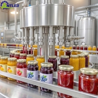 Solution clé en main pour l'usine de transformation de confiture de fruits, ligne de production de confiture de myrtilles et de fraises