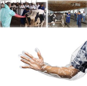 Gants d'insémination vétérinaire à bord thermosoudé 90 cm, manchons jetables en PE anti-fuite pour tests prénatals des animaux de grande taille - Product Image 5