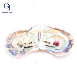 Venta al por mayor, 35 <span class=keywords><strong>ostras</strong></span> <span class=keywords><strong>cultivadas</strong></span> de agua dulce sueltas de Akoya teñidas de 6-8mm con <span class=keywords><strong>perlas</strong></span> de Akoya, <span class=keywords><strong>perlas</strong></span> de ostra - Product Image 3