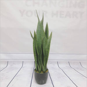 ต้นบอนไซเทียมทำจากพลาสติก/ต้นซัสเวีย/อากาเว70ซม./90ซม. สีเขียว-เหลือง - Product Image 6