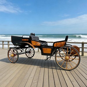 รถม้าไฟฟ้าสำหรับเที่ยวชมสถานที่แบบหรูหราสำหรับงานคริสต์มาส - Product Image 1