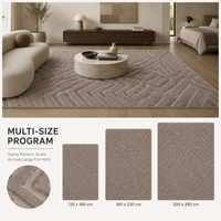 Alfombra para el Hogar con Diseño Geométrico 3D, Antideslizante, Absorbente, de Felpa, Ecológica, Lavable a Máquina, Gran Tamaño, Suministro para Supermercados, Venta al Por Mayor