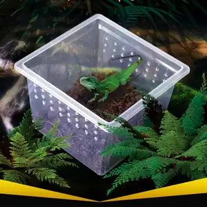 가장 인기있는 플라스틱 애완 동물 파충류 인클로저 여행 서식지 상자 곤충 키퍼 테라리움 파충류 거북이 상자