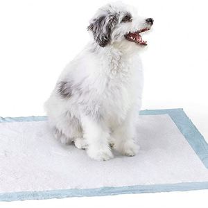 Indoor Outdoor Fast Drying SAP <b>Waterproof</b> Non Slip Dog Training Multi Size Colors Professional Factory Direct Wholesale Pet <b>Pad</b> - Product Image 1